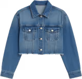 Medium wash cropped denim jacket